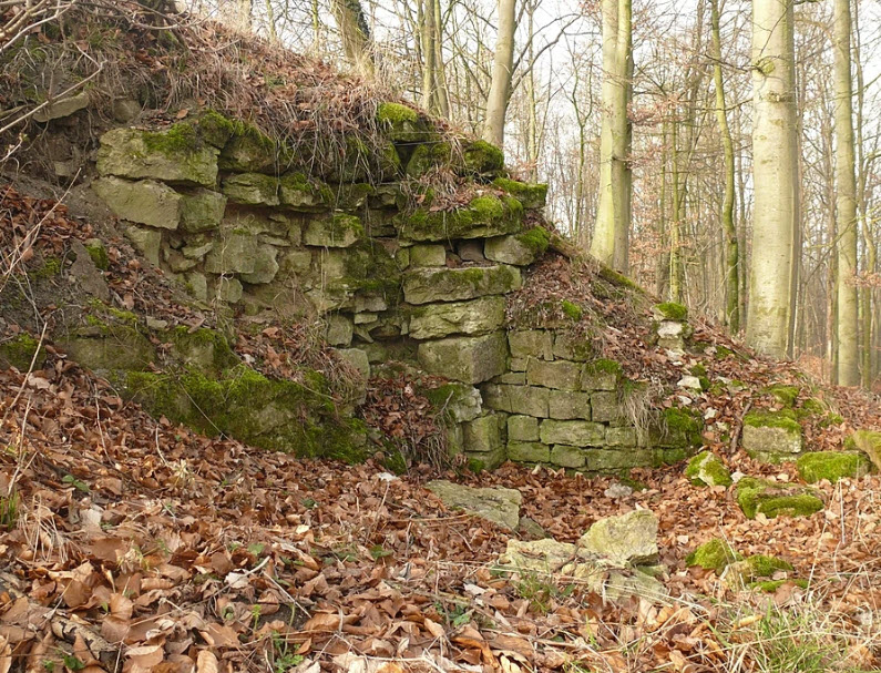 Schlossruine Bielriet, Wolpertshausen, Germany, Germany